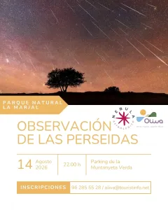 Observación de las Perseidas en la Marjal