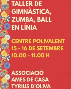 Taller gimnasia, zumba y baile en línea