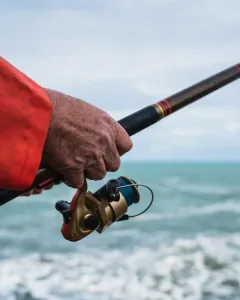 Trofeo Pesca Suro i Carrutxa