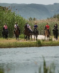 Paseo a caballo por La Marjal