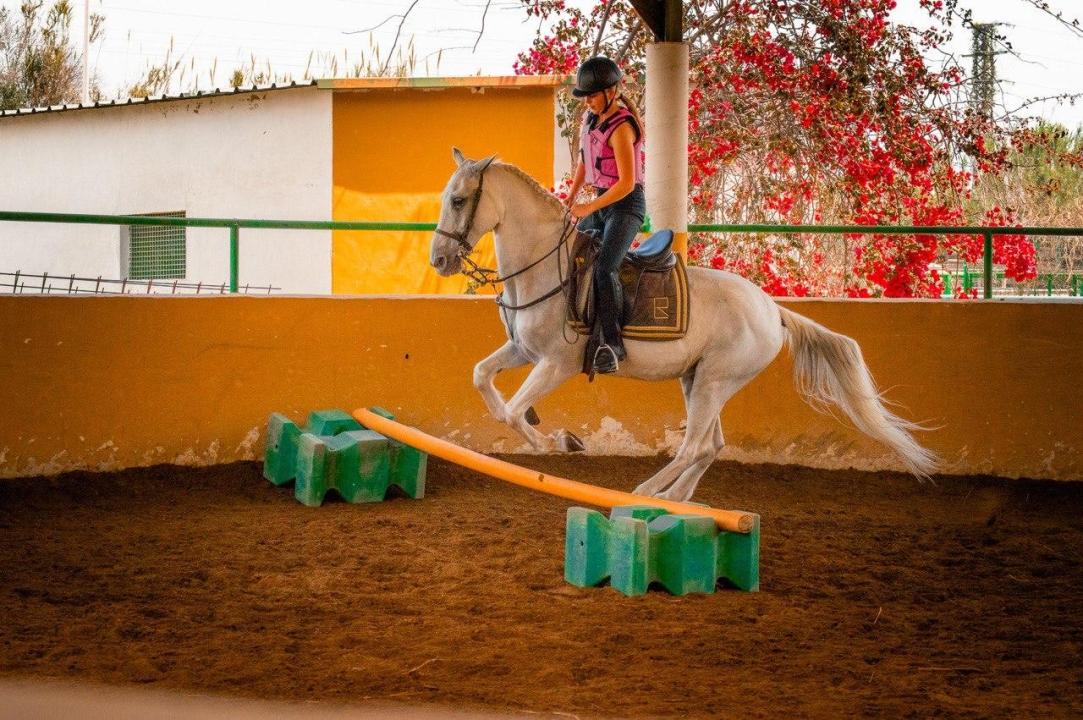 Hípica Los Robles