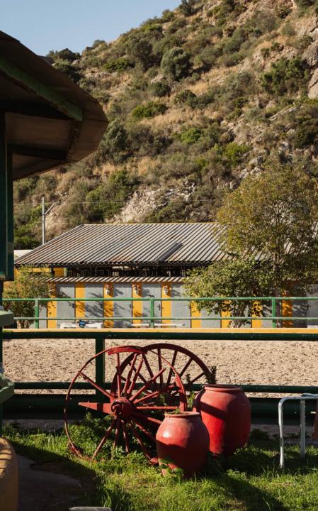 Hípica Los Robles