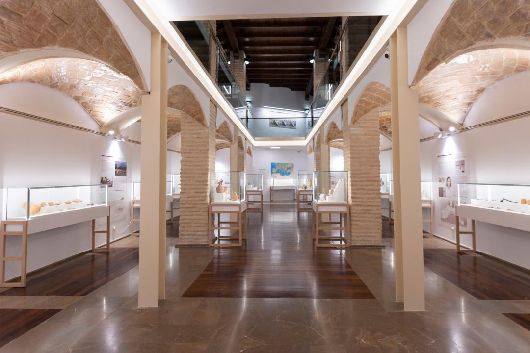 Museo Arqueológico MAGa