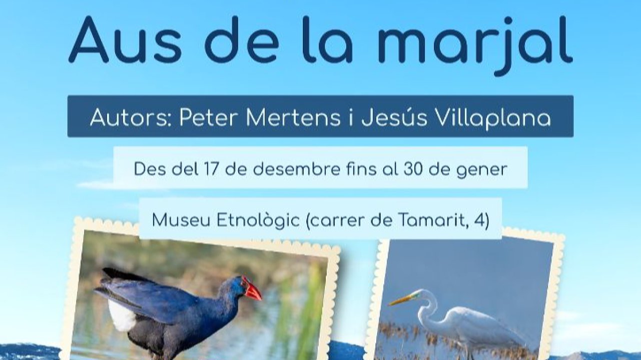 Oliva celebra tres décadas de la Marjal Pego-Oliva con la exposición "Aus de la marjal"