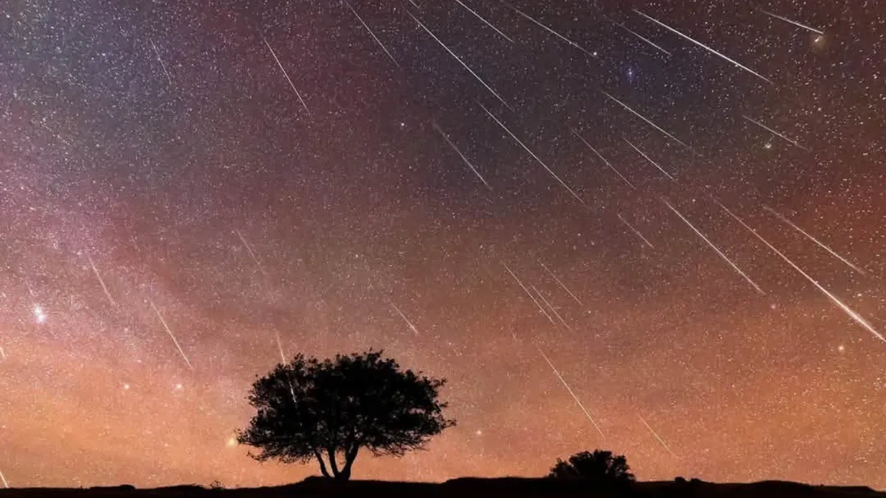 Oliva te invita a disfrutar de la magia de las Perseidas en la Marjal