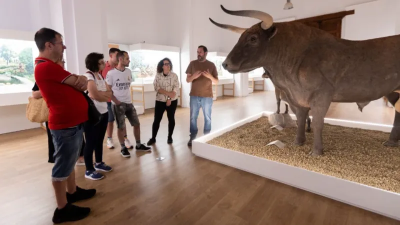 El Museu Arqueològic de Gandia abre sus puertas con motivo del Día Mundial del Turismo