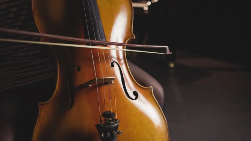 Sonarte: ciencia, música y lutería en Gandia