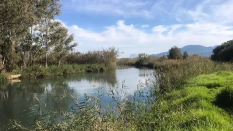 La Marjal de Pego-Oliva organiza una ruta guiada gratuita para reconectar con la naturaleza